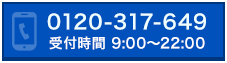 0120-317-649